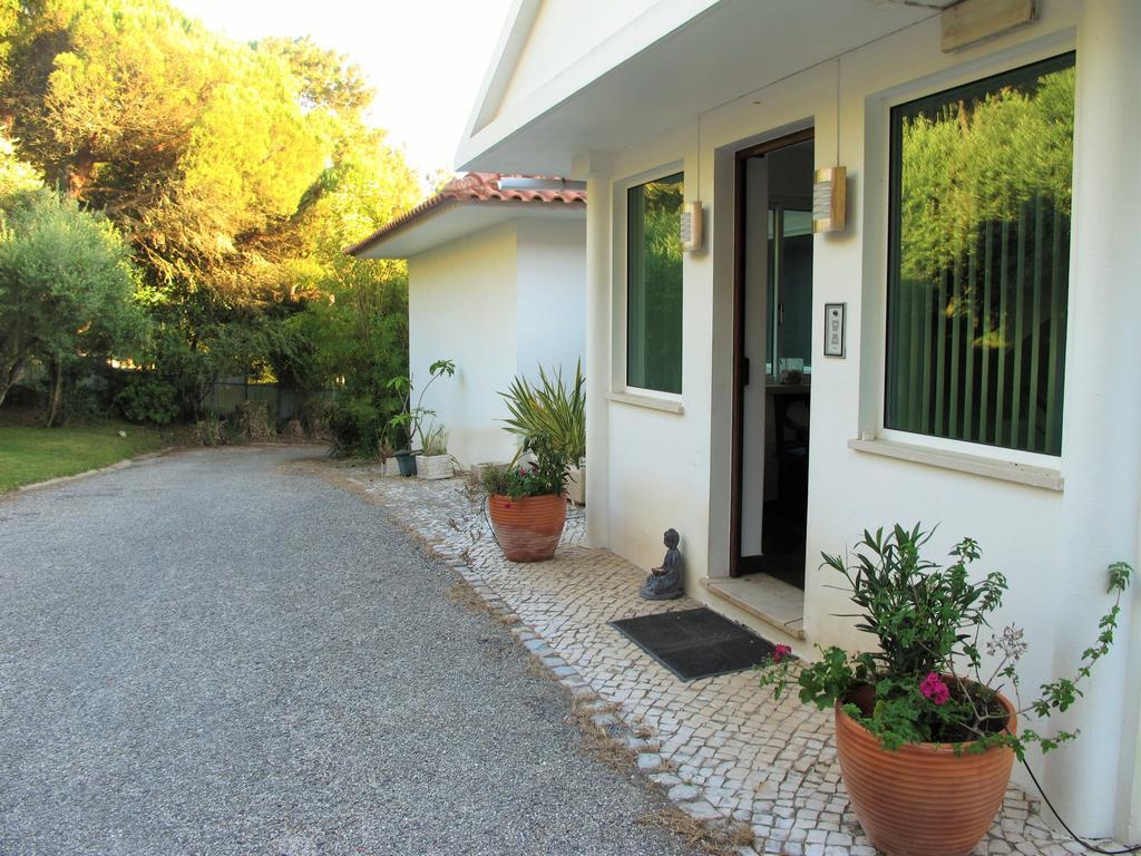 Casa Branca Guest House Фош-ду-Арелью Экстерьер фото
